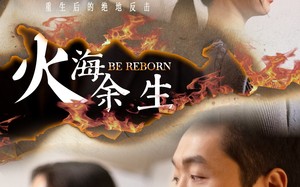 短剧《火海余生（30集）》高分短剧免费全集点播