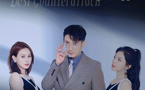 短剧《最佳离婚攻略（31集）》优质短剧全集在线领略