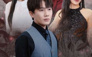 短剧《不是吧，我花1块钱你给我100万$24小时我百倍返现（37集）》超火短剧免费在线观全集