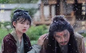 短剧《微雨燕双飞（60集）》短剧免费全集在线享