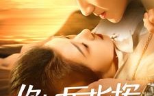 短剧《你好厉指挥（100集）》短剧完整版免费畅享