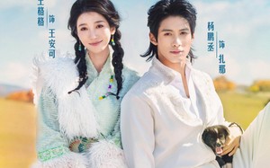 短剧《放羊吧老板（60集）》热门短剧免费高清看