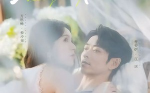 短剧《在港难逃（75集）》免费短剧全集高清播放