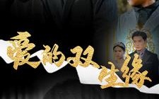 短剧《爱的双生缘（50集）》精彩短剧免费全辑赏
