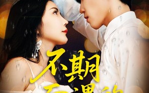 短剧《不期而遇的33天（45集）》免费短剧高清在线赏