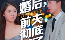 短剧《离婚后，前夫彻底慌了（41集）》免费短剧全集在线追