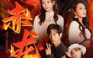 短剧《赤龙印（80集）》优质短剧全集免费赏