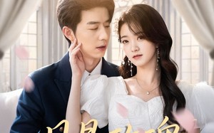 短剧《月是玫瑰沉沦时（85集）》短剧全集高清免费畅播