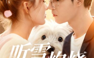 短剧《听雪灼烧（68集）》短剧高清全集免费赏观