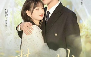 短剧《焚心以火（72集）》优质短剧在线一键观看