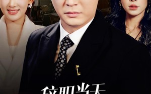 短剧《辞职当天，前妻哭着求我原谅（23集）》热门短剧全集免费速看