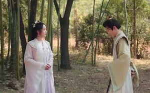 短剧《双生花落又逢君（66集）》短剧高清免费全集观