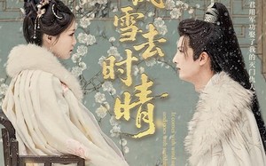 短剧《来时风雪去时晴（51集）》短剧高清免费全集看