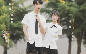 短剧《栀子花落状元红（50集）》短剧佳作完整在线呈现