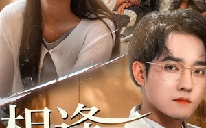 短剧《相逢却不识（77集）》短剧全集免费高清看