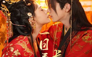 短剧《一日看尽长安花（58集）》短剧全集高清免费播放