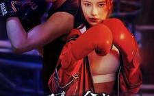 短剧《双龙会之凤鸣龙吟（80集）》精彩短剧全集畅享