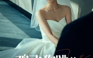 短剧《鸡飞狗跳的婚后生活（28集）》热门短剧全集免费瞧