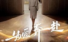 短剧《为爱奔赴（100集）》经典短剧完整版免费赏