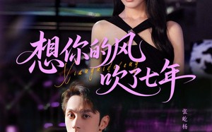 短剧《想你的风吹了七年（82集）》短剧全集免费在线品鉴