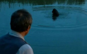 短剧《鱼坑（30集）》短剧在线高清免费看