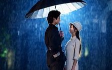 短剧《又见面了楼小姐（68集）》短剧完整版免费在线览