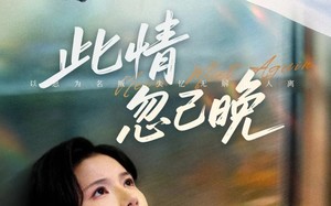 短剧《此情忽已晚（67集）》热门短剧完整版在线赏