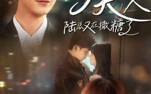 短剧《报告夫人陆总又在撒糖了（69集）》超火短剧完整版畅享