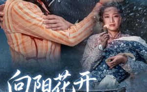 短剧《向阳花开并蒂霜（60集）》免费短剧在线完整赏