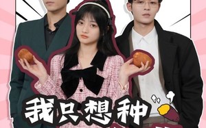 短剧《穿书后，我只想种红薯（93集）》免费短剧全辑在线乐看