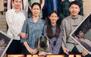 短剧《重生五八我靠破防系统发家致富（80集）》短剧免费全集高清在线赏