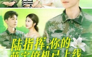 短剧《陆指挥你的萌宝僚机已上线（169集）》免费短剧全集在线追剧