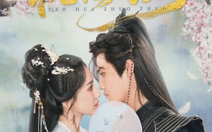 短剧《桃花灼灼（70集）》短剧全集免费畅快观