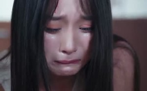 短剧《南风过境时爱意尽失（60集）》免费短剧高清全集快看