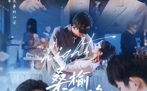 短剧《桑榆向晚（65集）》超燃短剧免费畅享全集