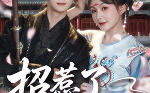 短剧《招惹了隐藏太子（81集）》短剧全集免费在线追