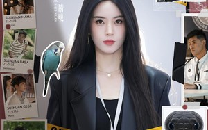 短剧《听懂动物语言我成了警局常客（82集）》短剧免费看全集不停