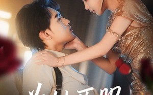 短剧《为她臣服（80集）》爆款短剧免费在线追剧