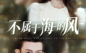 短剧《不属于海的风（40集）》高清短剧在线速看