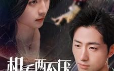 短剧《相看两不厌（80集）》精彩短剧在线免费追