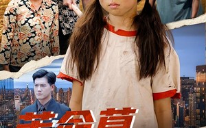 短剧《苦命草翻身宝（62集）》热门短剧全集免费播