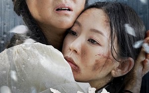 短剧《心盲（100集）》短剧全集免费在线追