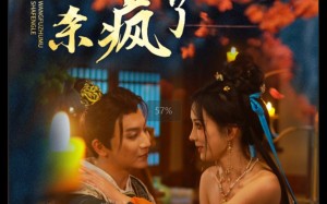 短剧《开局被害王府主母杀疯了（58集）》精彩短剧全集畅享观看