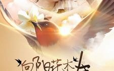 短剧《向阳花木易为春（101集）》热门短剧在线完整看