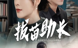 短剧《拔苗助长（33集）》精彩短剧免费全集速看