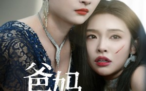 短剧《爸妈再爱我一次（31集）》短剧全集免费在线览