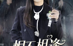 短剧《恨不相逢未嫁时（40集）》短剧全集免费畅快看