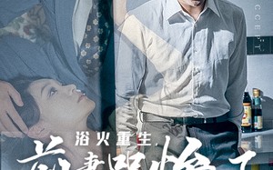 短剧《浴火重生，前妻哭惨了（30集）》短剧全集高清免费直看