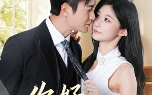 短剧《你好沈先生（52集）》精彩短剧完整版在线看