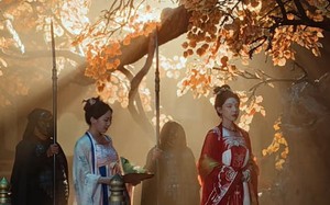 短剧《青鸟衔恨生（61集）》短剧完整剧情在线直看